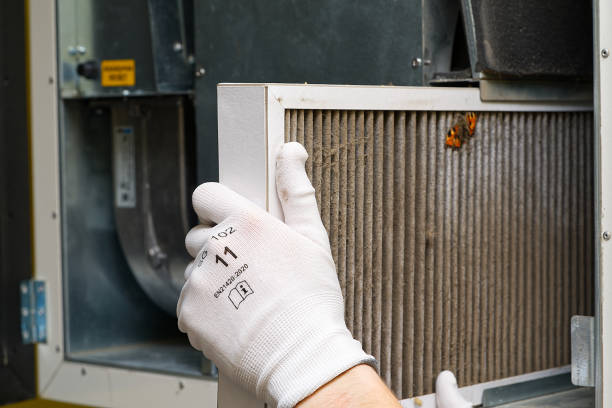 Best Emergency Air Duct Cleaning  in Plandome, NY