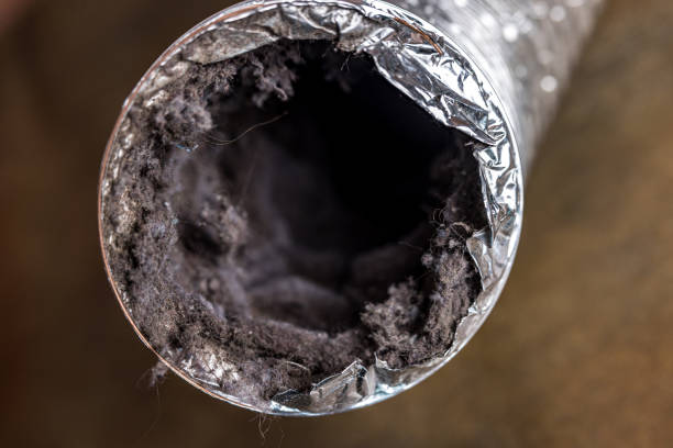 Best Local Air Duct Cleaning Services  in Plandome, NY