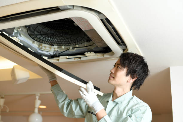 Best Ductwork Cleaning Services  in Plandome, NY